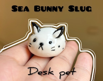 Sea Bunny Slug Pet. Desk buddy.