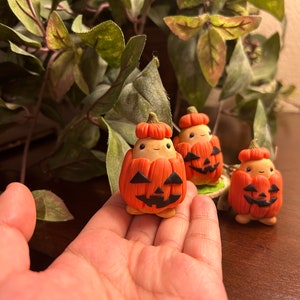 Pumpkin potato, Halloween Costume.