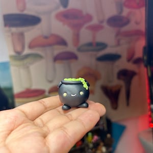 Little Pet Cauldron