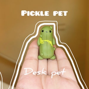 PICKLE desk buddy, desk pet, comes with adoption certificate.