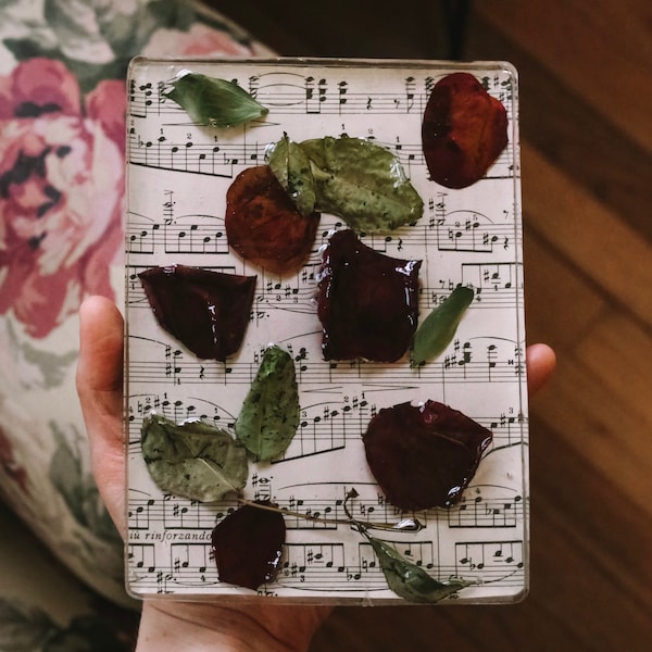 Unique Wall Decor Etsy