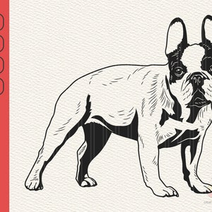 French Bulldog Svg, Frenchie svg, Cute dog clipart, pet face png, Bulldog Svg, Animal svg, Frenchie Clipart Print, Cricut Cutting Files, Png