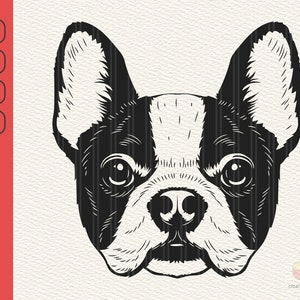 Französische Bulldogge Svg, Frenchie Svg, süße Hund Clipart, Haustier Gesicht Png, Bulldogge Svg, Tier Svg, Frenchie Clipart Druck, Cricut schneiden Dateien, Png