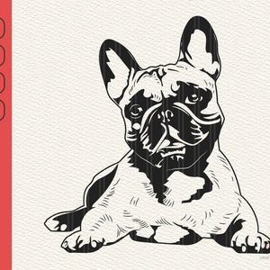 Französische Bulldogge Svg, Frenchie Svg, süße Hund Clipart, Haustier Gesicht Png, Bulldogge Svg, Tier Svg, Frenchie Clipart Druck, Cricut schneiden Dateien, Png
