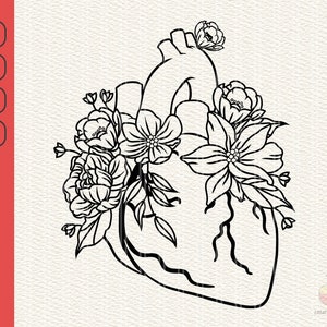 Kardiologie SVG, Anatomisches Herz mit Blumen SVG, Florales Herz SVG, Anatomisches Herz Svg Cut Dateien für Cricut, Png Dxf Jpg Eps