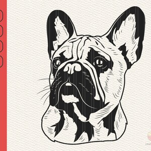 Französische Bulldogge Svg, Frenchie Svg, süße Hund Clipart, Haustier Gesicht Png, Bulldogge Svg, Tier Svg, Frenchie Clipart Druck, Cricut schneiden Dateien, Png