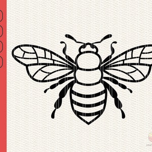 Bee Svg, Bee Svg files for cricut, Bee Kind, Honey Bee, Insect, Bumble Bee, Svg, Png, Eps, Clipart, Silhouette, Cricut, Vector download
