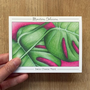 Carte de correspondance botanique Monstera