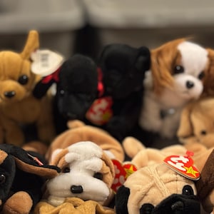 Vintage Dog Ty Beanie Babies (14)