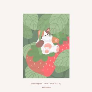 Strawberry Field Mi-ke le chat Calico PRINT 350gsm