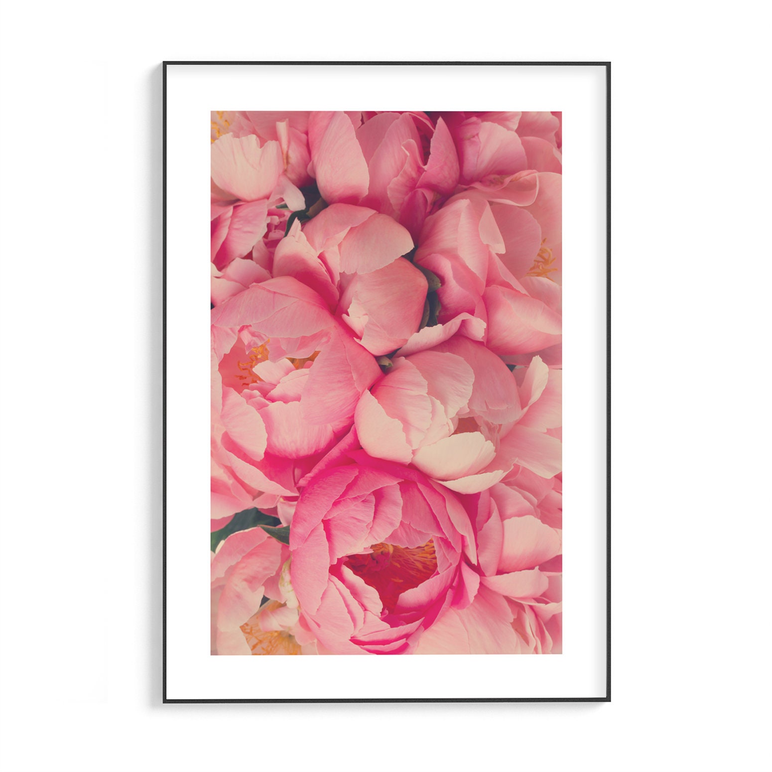 Pink Flowers Poster Floral Print Nature & Botanical Poster Etsy