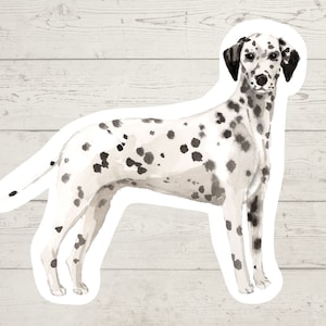 3 x Dalmatian Vinyl stickers, dog mom sticker, dog dad, dog lover gift, laptop sticker, bujo sticker, Bullet journal decal, watercolour