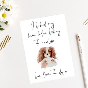 König Charles Spaniel Hund Geburtstagskarte -Hundeliebhaber Karte Hundebesitzer Karte, Hundeliebhaber Karte Hundebesitzer Karte Süße Hundekarte