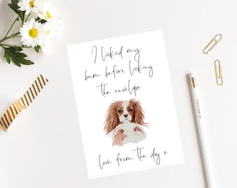 King Charles Spaniel dog Birthday card -dog lovers card dog owner card, dog lover card dog owner card Cute dog card