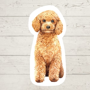 3 x Golden Honey Cockapoo dog Vinyl stickers, dog mom sticker, dog dad, dog lover gift, laptop sticker, bujo sticker, Bullet journal decal,