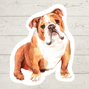3 x English Bulldog Vinyl stickers, dog mom sticker, dog lover gift, laptop sticker, bujo sticker, Bullet journal decal, watercolour