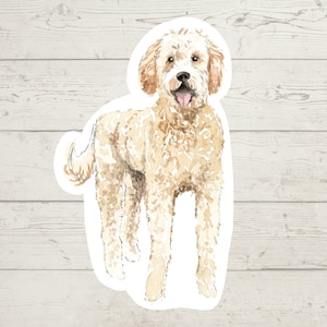 3 x Golden Doodle dog Vinyl stickers, dog mom sticker, dog dad, dog lover gift, laptop sticker, bujo sticker, Bullet journal decal,