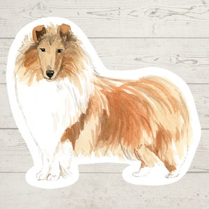 3 x adesivi in vinile Rough Collie, adesivo mamma cane, regalo amante del cane, adesivo per laptop, adesivo bujo, decalcomania del diario dei proiettili, acquerello