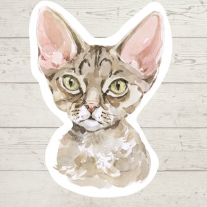 3 x Devon Rex cat stickers, mom sticker, cat lover gift decal, laptop sticker, bujo sticker, Bullet journal decal, cat sticker watercolour