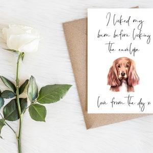 Brown Cocker Spaniel - Hunde Geburtstagskarte - Hundeliebhaber Karte Hundebesitzer Karte, Hundeliebhaber Karte Hundebesitzer Karte Süße Hundekarte