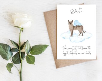 May include: A sympathy card with a watercolor illustration of a cat with wings on a cloud. The card says "Dexter" and "The smallest feet leave the biggest footprints on our hearts."