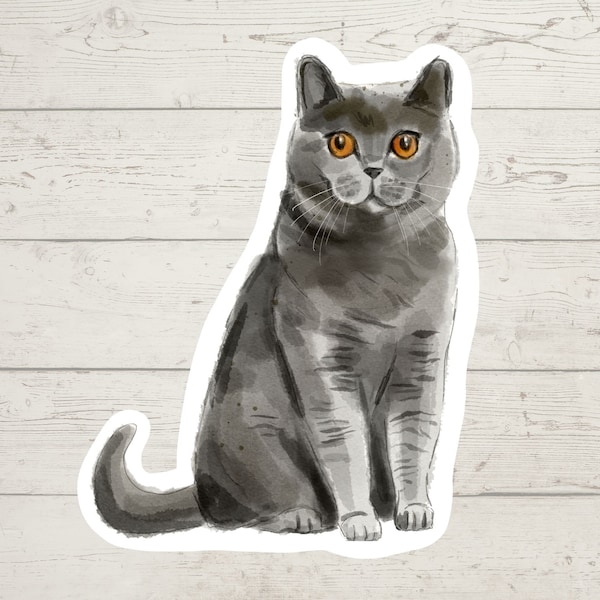 3 x British Shorthair cat sticker, British shorthair mom sticker, British shorthair gift, laptop sticker, bujo sticker, Bullet journal decal