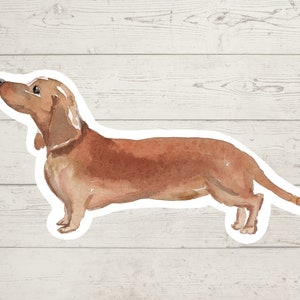 3 x Dachshund stickers, dog mum sticker, dog dad, dog lover gift, laptop sticker, bujo sticker, Bullet journal decal, watercolour