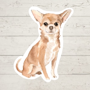 3 x Chihuahua Pegatinas de vinilo, pegatina de mamá de perro, papá perro, regalo de amante de los perros, pegatina de computadora portátil, pegatina de bujo, calcomanía de diario de bala, acuarela