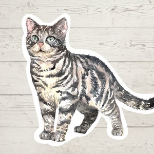 3 x American Shorthair cat stickers, mom sticker, cat lover gift decal, laptop sticker, bujo sticker, Bullet journal decal, cat sticker