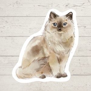 3 x Ragdoll cat stickers, Cat mom sticker, cat dad, cat lover cat gift, laptop sticker, bujo sticker, Bullet journal decal, cute cat sticker