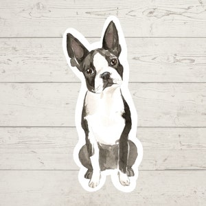 3 x Boston Terrier Vinyl stickers, dog mom sticker, dog dad, dog lover gift, laptop sticker, bujo sticker, Bullet journal decal, watercolour