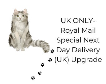 UK ONLY- Royal Mail Special Next Day Delivery by 1pm Upgrade - Order before 11am (GMT) for same day dispatch (working days only)