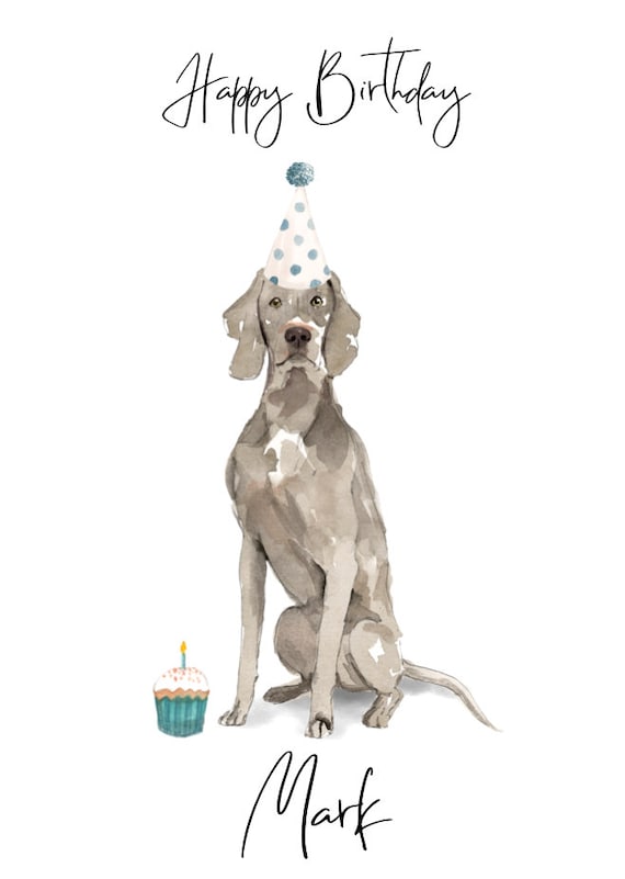 Set Completo Per Compleanno Cane: Bandana, Farfallino E Cappello Festivo, Blu, Regolabile E Morbido Per Foto E Celebrazioni