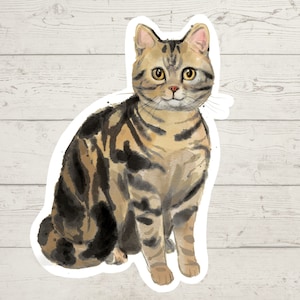 3 x American Shorthair cat stickers, mom sticker, cat lover gift decal, laptop sticker, bujo sticker, Bullet journal decal, cat sticker