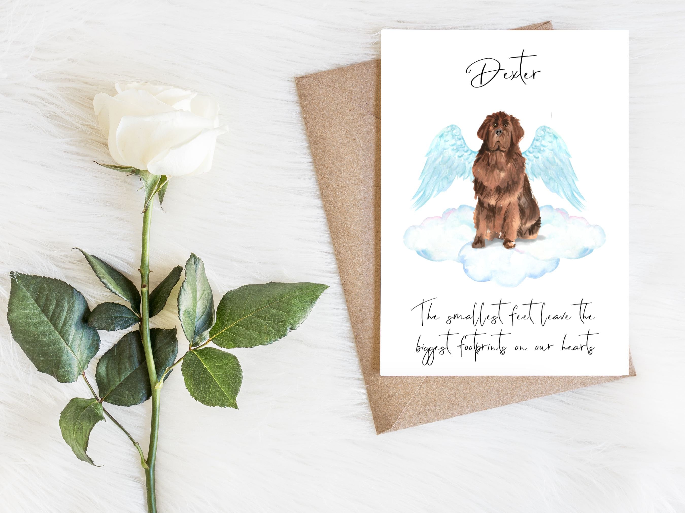 Catnaps in the Garden Birthday | Greeting Card Catnaps in the Garden Birthday | Greeting Card