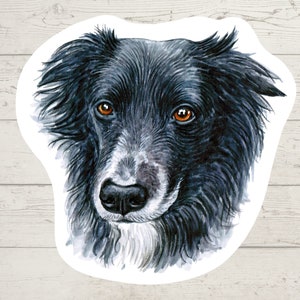 3 x autocollants en vinyle Border Collie, autocollant de maman de chien, papa de chien, cadeau d'amant de chien, autocollant d'ordinateur portable, autocollant de bujo, décalque de journal de balle, aquarelle