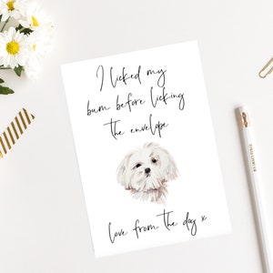 Malteser - Hunde Geburtstagskarte - Hundeliebhaber Karte Hundebesitzer Karte, Hundeliebhaber Karte Hundebesitzer Karte Niedliche Hundekarte