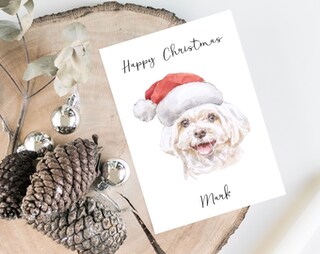 Twizler Biglietto Di Natale Divertente Con Border Collie E Dolcetti, 15,5x15,5 Cm, Con Busta Rossa, Cartoncino Di Qualità, Regalo Per Amanti Dei Cani