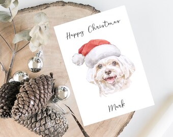 Twizler Biglietto Di Natale Divertente Con Border Collie E Dolcetti, 15,5x15,5 Cm, Con Busta Rossa, Cartoncino Di Qualità, Regalo Per Amanti Dei Cani