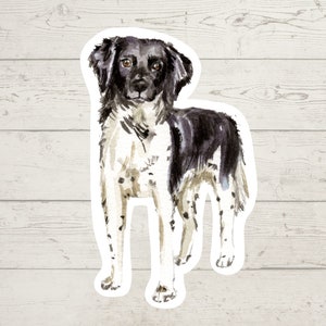 3 x Stabyhoun Vinyl stickers, dog mom sticker, dog lover gift, laptop sticker, bujo sticker, Bullet journal decal, watercolour