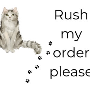 Rush my order please - 1 working day dispatch (order before 11am GMT to get same day dispatch)