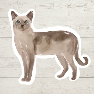3 x Tonkinese cat stickers, mom sticker, cat lover gift decal, laptop sticker, bujo sticker, Bullet journal decal, cat sticker watercolour