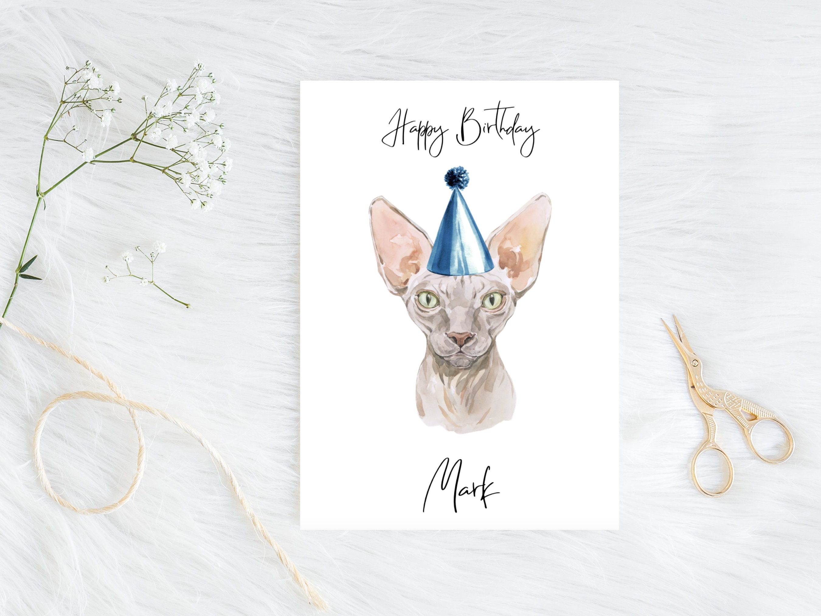 Personalised Sphynx Cat Cat Birthday Card cat Lovers Card - Etsy New Zealand