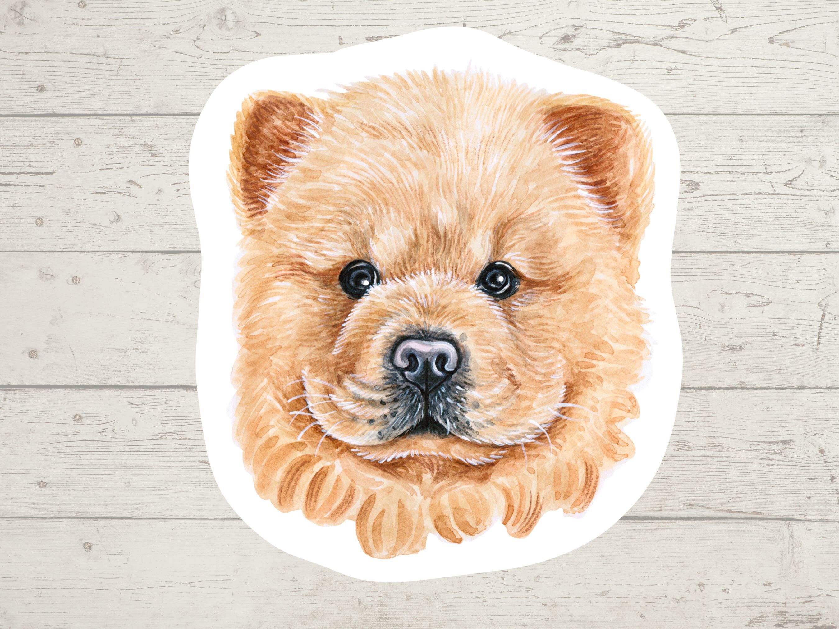 Bulldog chow chow 2025