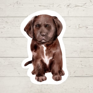 3 x Labrador Retriever Vinyl stickers, dog mom sticker, dog lover gift, laptop sticker, bujo sticker, Bullet journal decal, watercolour