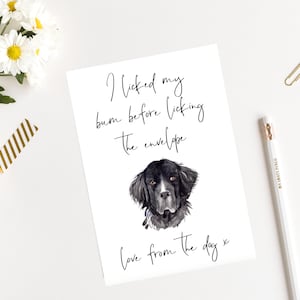 newfoundland - hond Verjaardagskaart -hondenliefhebbers kaart hond eigenaar kaart, hond minnaar kaart hond eigenaar kaart Leuke hond kaart