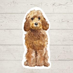 3 x Golden Honey Cockapoo chien Autocollants en vinyle, autocollant maman chien, papa chien, cadeau amoureux des chiens, autocollant pour ordinateur portable, autocollant bujo, autocollant Bullet journal,