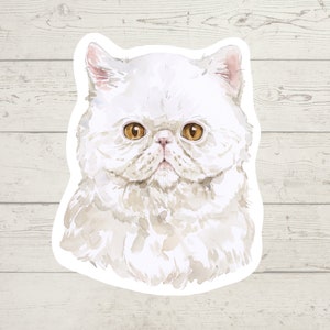 3 x Exotic Shorthair cat sticker, British shorthair mom sticker, British shorthair gift, laptop sticker, bujo sticker, Bullet journal decal