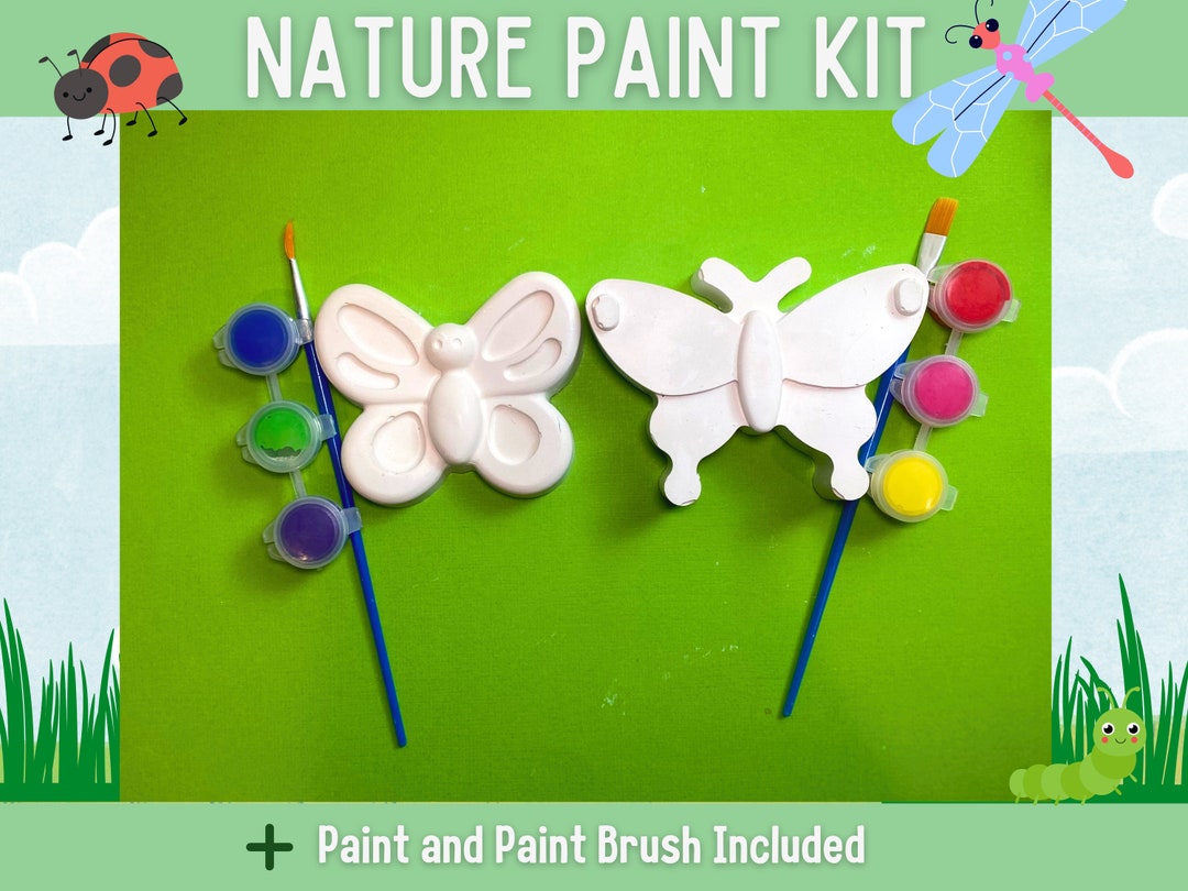 Butterfly Paint Kit for Toddlers | DIY Craft Set for Kids | Educational ...