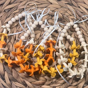 Puakenikeni Car Leis